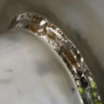 Superior Titanium Pipe Welding Service 4X Faster Turnaround with Automated Orbital TIG Welding for Titanium Pipes - Weldin...