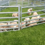 Rustproof Welding Cattle Panels Accurate 16 Foot Sections 4 Gauge Wire High Te...