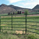 Rustproof Welding Cattle Panels Accurate 16 Foot Sections 4 Gauge Wire High Te...